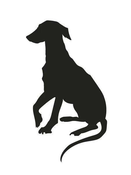 Dog Sitting Silhouette Vector White Background — Stock Vector