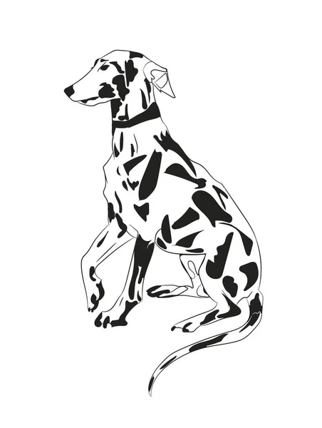 Perro Sentado Líneas Vector Fondo Blanco — Vector de stock