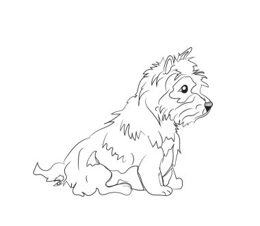 otururken, çizgiler, vektör, beyaz arka plan köpek