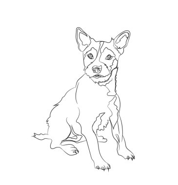 otururken, çizgiler, vektör, beyaz arka plan köpek