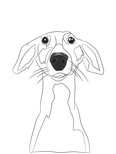 Portret Van Hond Lijnen Vector Witte Achtergrond — Stockvector