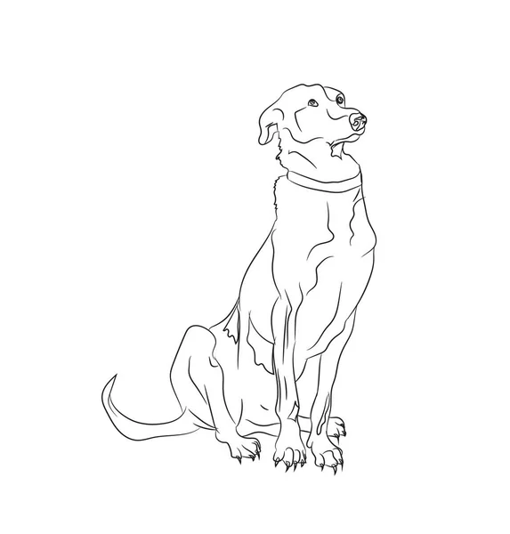 Σκυλί Κάθεται Γραμμές Διάνυσμα Λευκό Φόντο — Διανυσματικό Αρχείο
