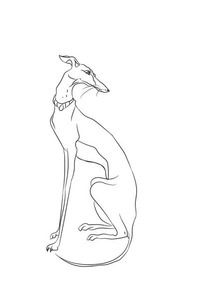 Собака Сидя Линии Вектор Белый Фон — стоковый вектор
