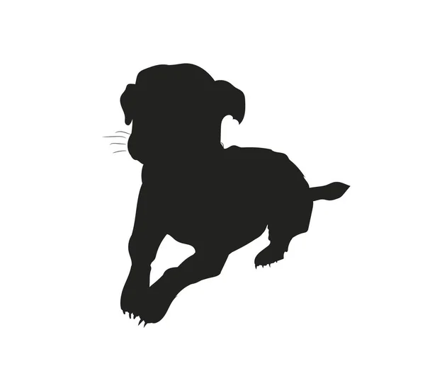Pes Leží Silueta Vektor Bílé Pozadí — Stockový vektor