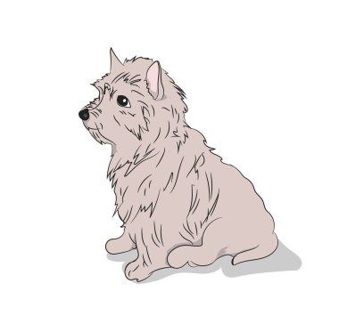 otururken, çizgiler, vektör, beyaz arka plan köpek