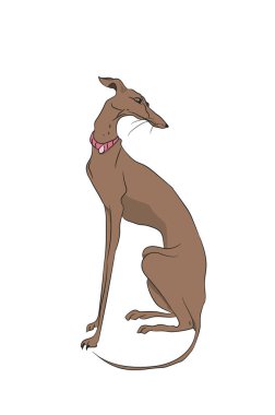 otururken, çizgiler, vektör, beyaz arka plan köpek