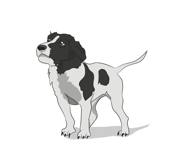 Perro Stands Vector Fondo Blanco — Archivo Imágenes Vectoriales