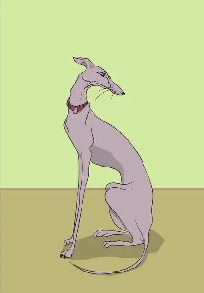 Perro Sentado Una Habitación Vector Color — Archivo Imágenes Vectoriales