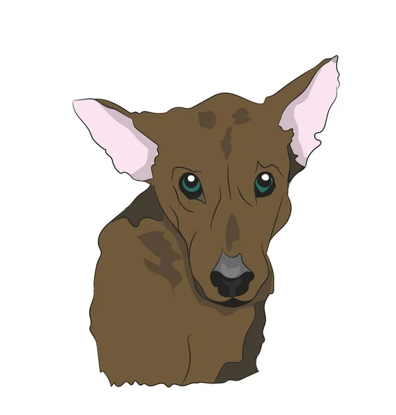 Dog Portrait Profile Look Vector — Stock Vector