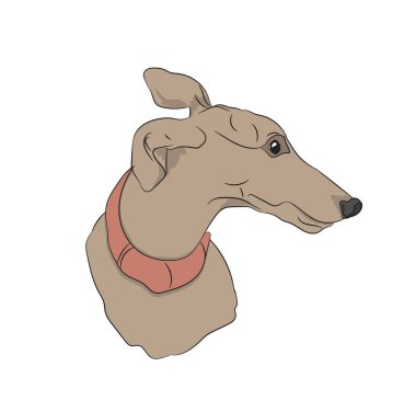 köpek portre profil, arayın, vektör