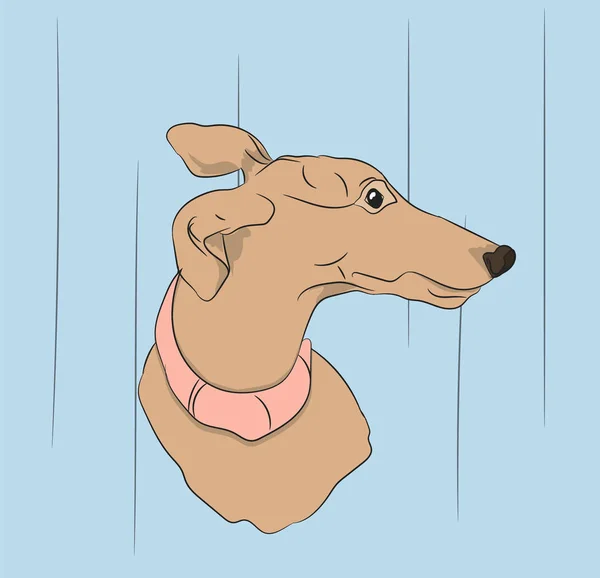 Portret Profiel Van Hond Neerkijken Vector — Stockvector