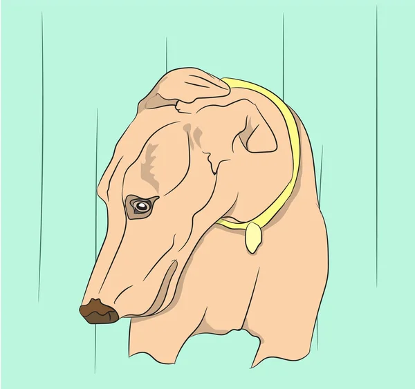 Pies Portret Profil Spojrzenie Dół Wektor — Wektor stockowy
