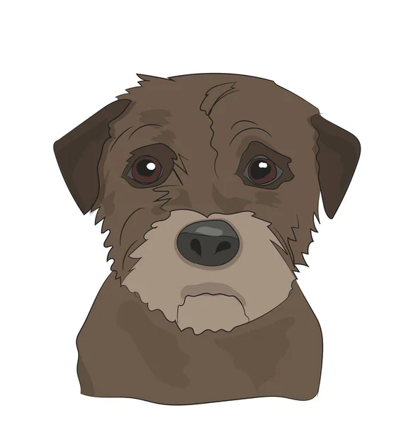 Köpek Portre Profil Arayın Vektör — Stok Vektör