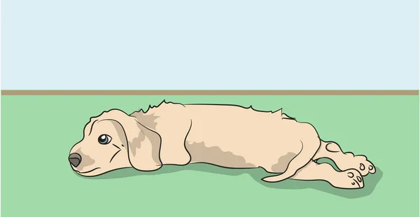 Pes Leží Vektor Bílé Pozadí — Stockový vektor