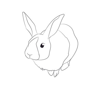 tavşan çizgiler, vektör, beyaz arka plan