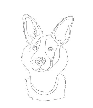 köpek portre, çizgiler, vektör, beyaz arka plan