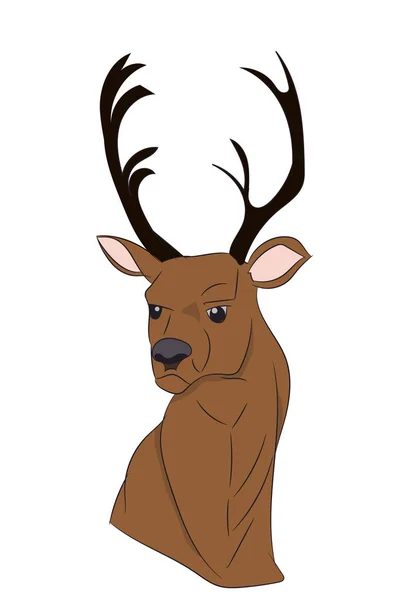 Deer Portrait Vector White Background — Stock Vector