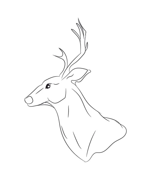 Deer Portrait Lines Vector White Background — Stock Vector