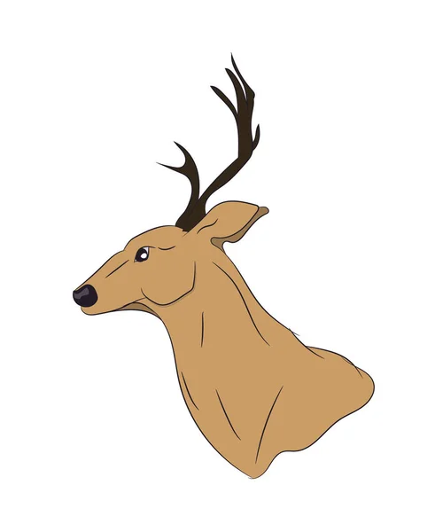 Deer Portrait Vector White Background — Stock Vector