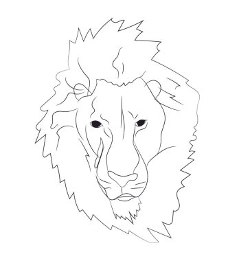 aslan portre, çizgiler, vektör, beyaz arka plan