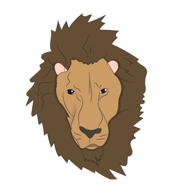aslan portre, vektör, beyaz arka plan