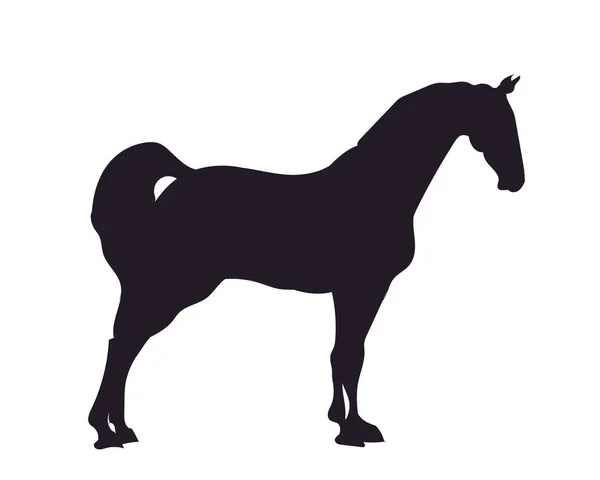 Cavalo Silhueta Vetor Fundo Branco —  Vetores de Stock