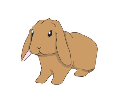 tavşan vektör, beyaz arka plan oturur