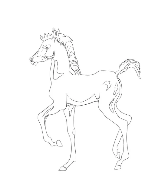 Лошадь Линии Вектор Белый Фон — стоковый вектор