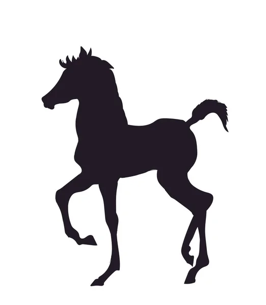Cavallo Piedi Silhouette Vettore Sfondo Bianco — Vettoriale Stock