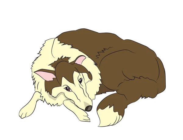 Hond Leugens Vector Witte Achtergrond — Stockvector