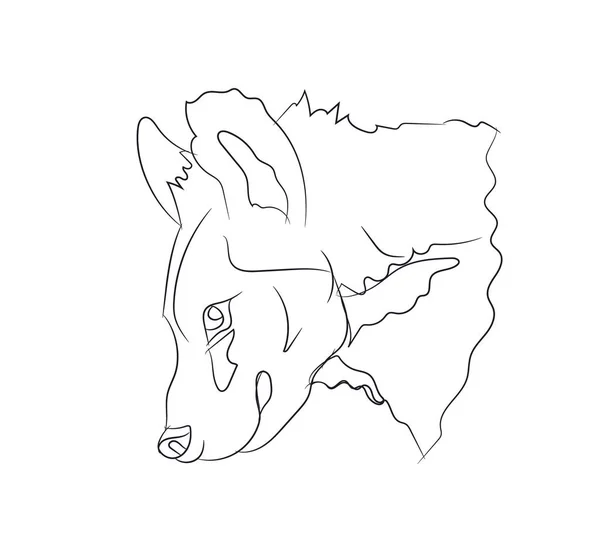 Hyena Portrét Linky Vektor Bílé Pozadí — Stockový vektor
