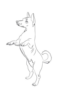 köpek soran, çizgiler, vektör. Beyaz arka plan