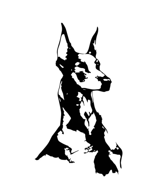 Hond Portret Silhouet Vector Witte Achtergrond — Stockvector