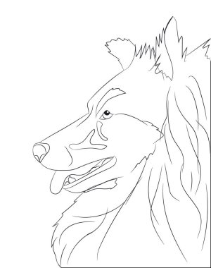 köpek portre, çizgiler, vektör, beyaz arka plan