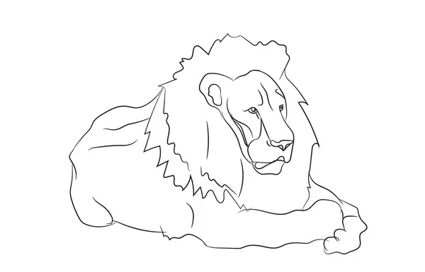 Lion Ligger Linjer Vektor Vit Bakgrund — Stock vektor