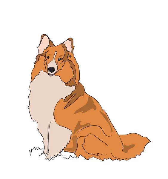 ベクトル 白い背景に 座っている犬 — ストックベクタ