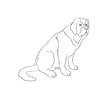 otururken, çizgiler, vektör, beyaz arka plan köpek