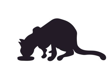 Kedi siluet, vektör, beyaz arka plan