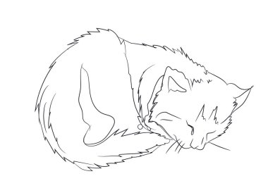 kedi çizgiler, vektör, beyaz arka plan