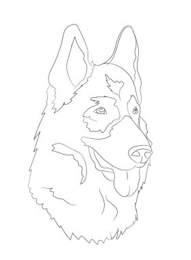 köpek portre, çizgiler, vektör, beyaz arka plan