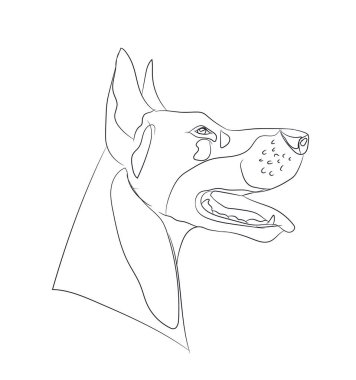 köpek portre, çizgiler, vektör, beyaz arka plan