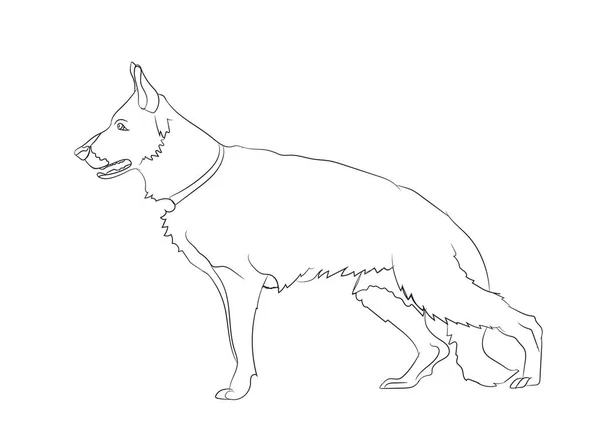 Pes Stojí Čáry Vektor Bílé Pozadí — Stockový vektor
