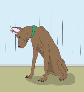 oturma odası, vektör, renk köpek