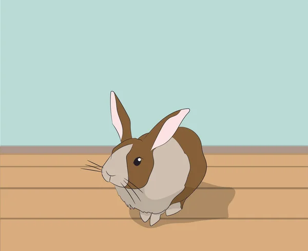 Кролик Сидить Кімнаті Вектор — стоковий вектор