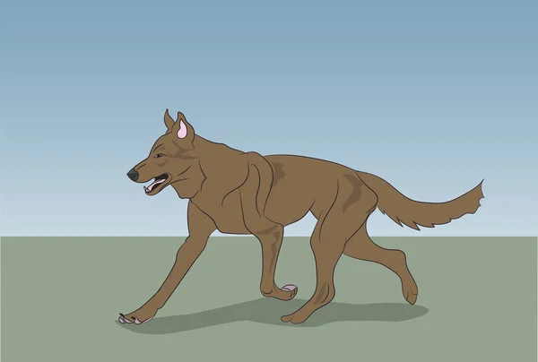 Perro Corriendo Color Vector Aire Libre — Archivo Imágenes Vectoriales