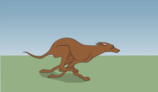 Perro Corriendo Color Vector Aire Libre — Vector de stock