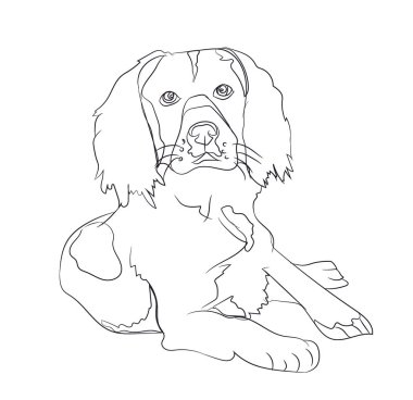 köpek yatıyor, çizgiler, vektör, beyaz arka plan