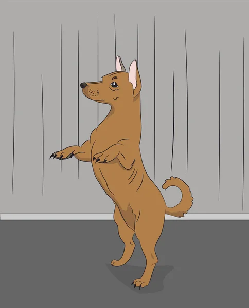 Hond Een Bruin Vector Kamer — Stockvector