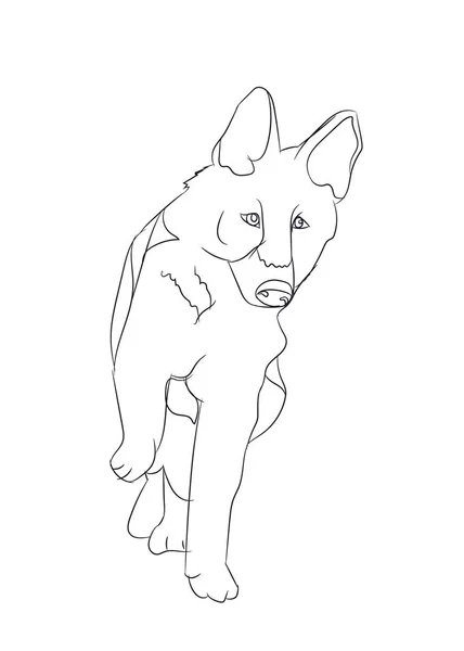 Hundeständer Linien Vektor Weißer Hintergrund — Stockvektor