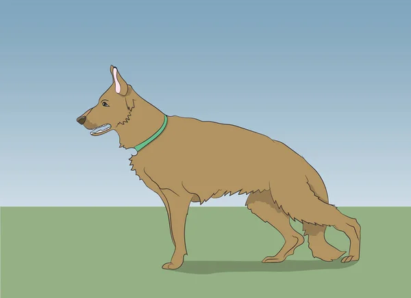 Perro Corriendo Color Vector Aire Libre — Archivo Imágenes Vectoriales